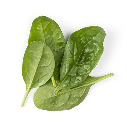 Spinaci