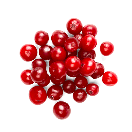 Mirtillo rosso