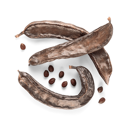 Carruba
