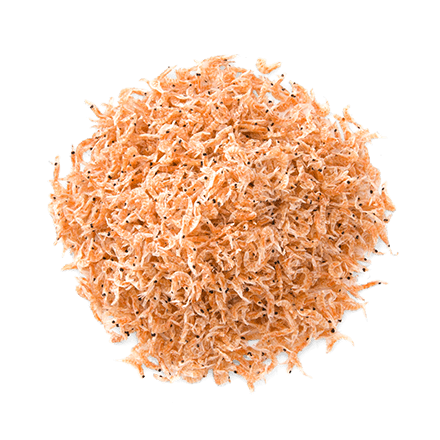 Krill antartico